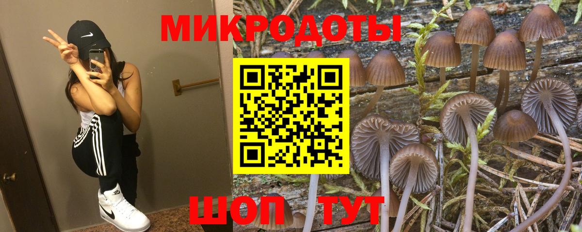 купить закладку  Галлюциногенные грибы прущие грибы  Альметьевск  Вход с VPN  Псилоцибиновые грибы Cubensis 